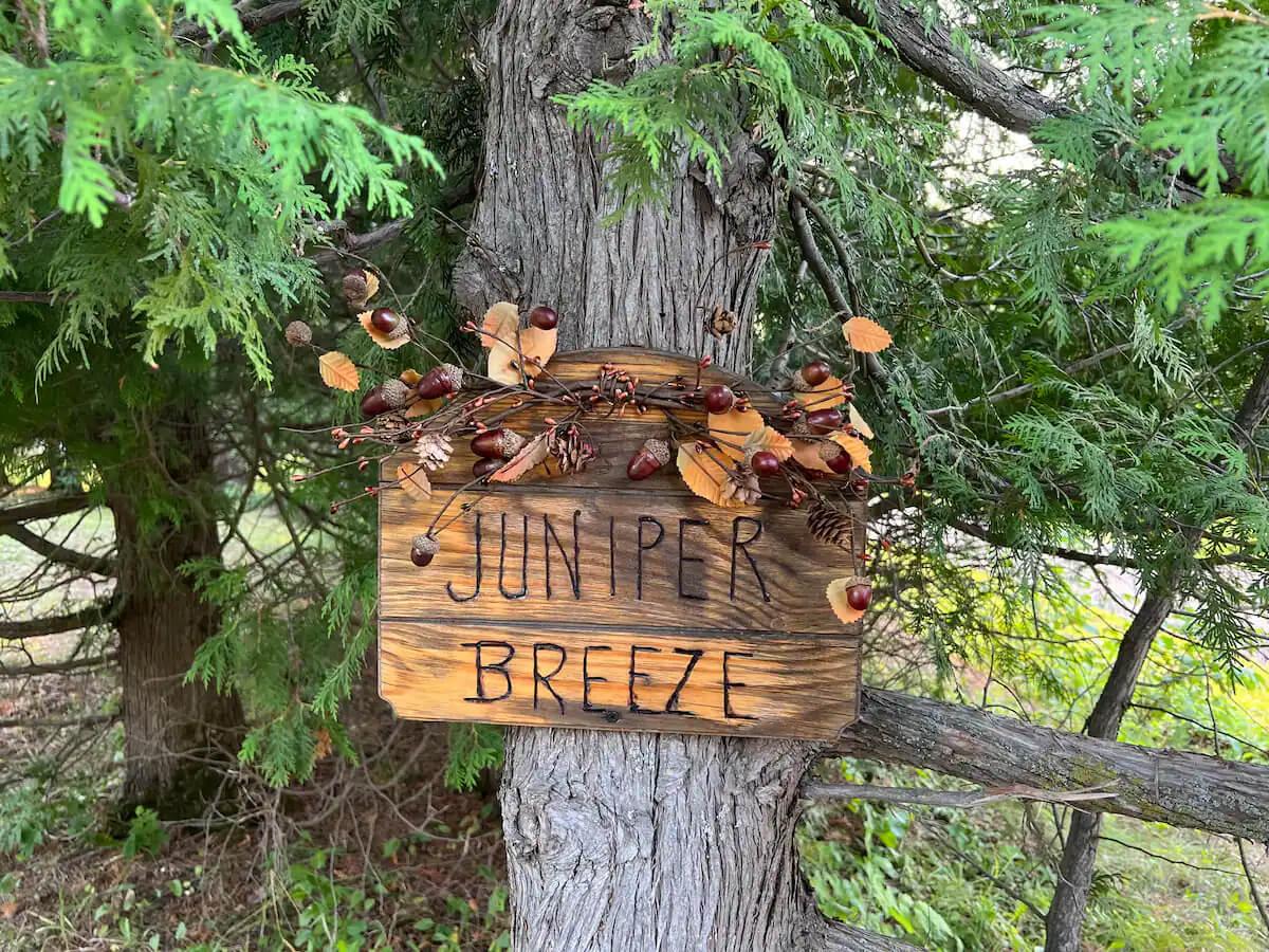 Juniper Breeze in Oliver - Image# 1